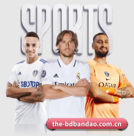 the-bdbandao.com.cn APP